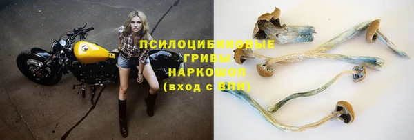 винт Заволжск
